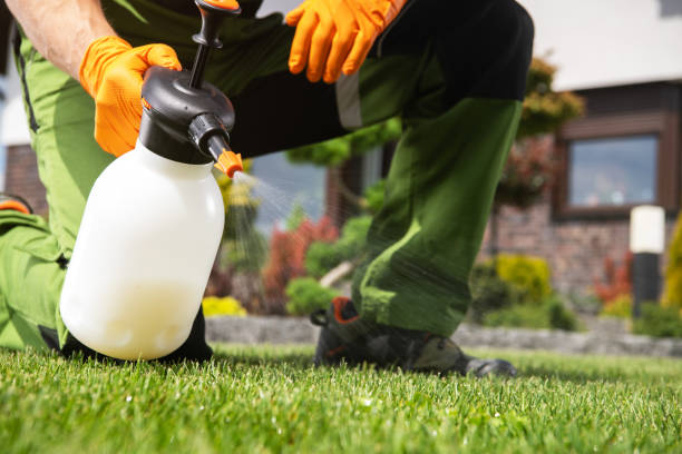 Professional Pest Control in Morrice, MI